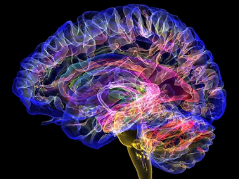 sao95视频大脑植入物有助于严重头部损伤恢复